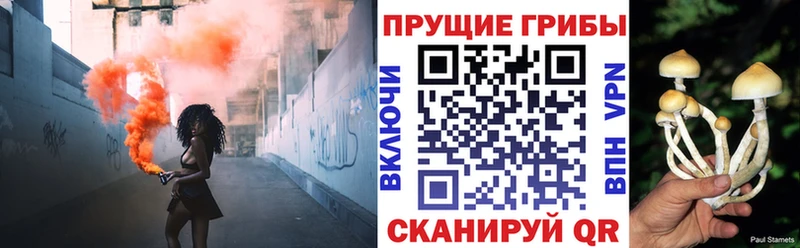 Галлюциногенные грибы GOLDEN TEACHER  Похвистнево 